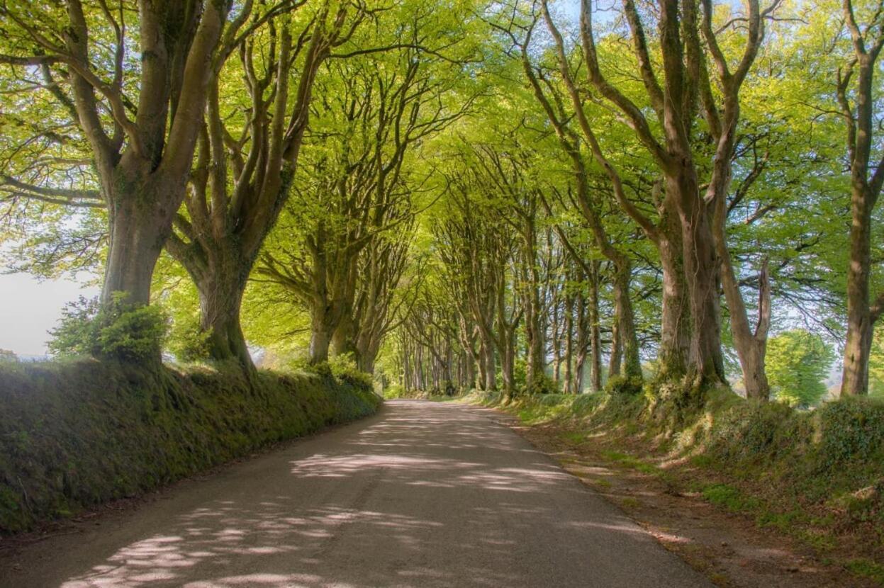 오크햄프턴 Knole Farm B&B 외부 사진