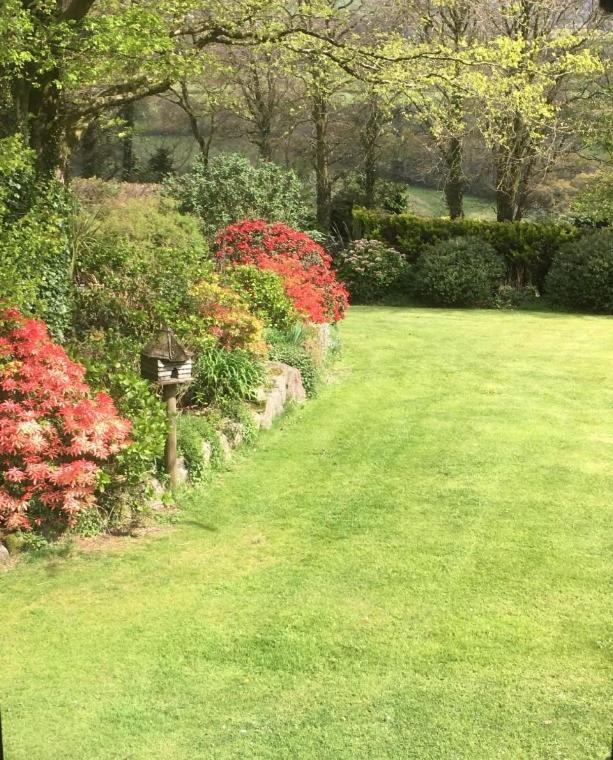 오크햄프턴 Knole Farm B&B 객실 사진